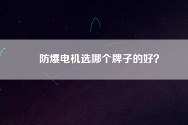 防爆電機(jī)選哪個牌子的好？