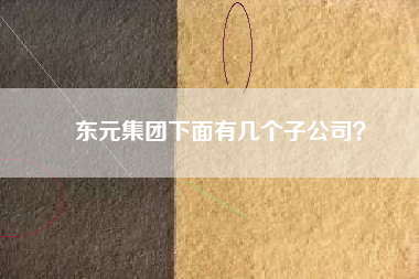 東元集團(tuán)下面有幾個(gè)子公司？