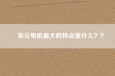 東元電機最大的特點是什么？？
